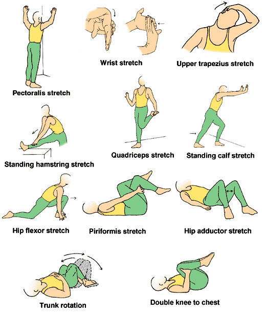 Soccer Stretching Exercises